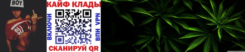 Где найти наркотики Челябинск Кокаин  Марихуана  Меф  Alpha PVP  Гашиш 
