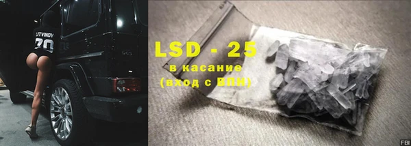 стаф Касимов