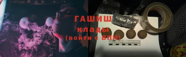 PSILOCYBIN Каменка