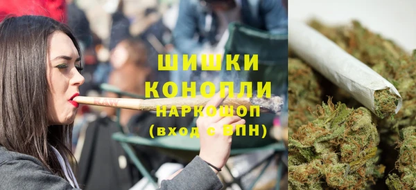 PSILOCYBIN Каменка