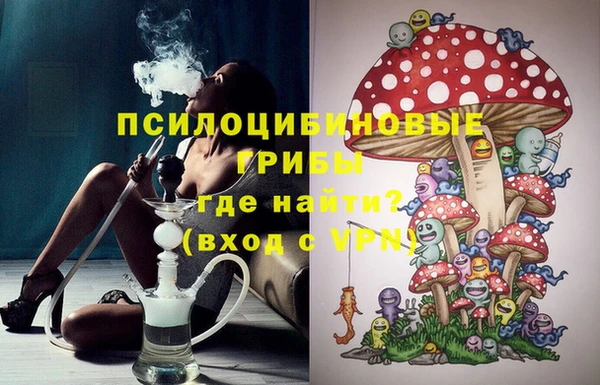 PSILOCYBIN Каменка