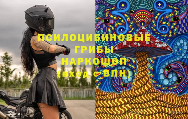 PSILOCYBIN Каменка