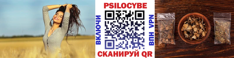 Галлюциногенные грибы GOLDEN TEACHER наркота мега ссылка Челябинск
